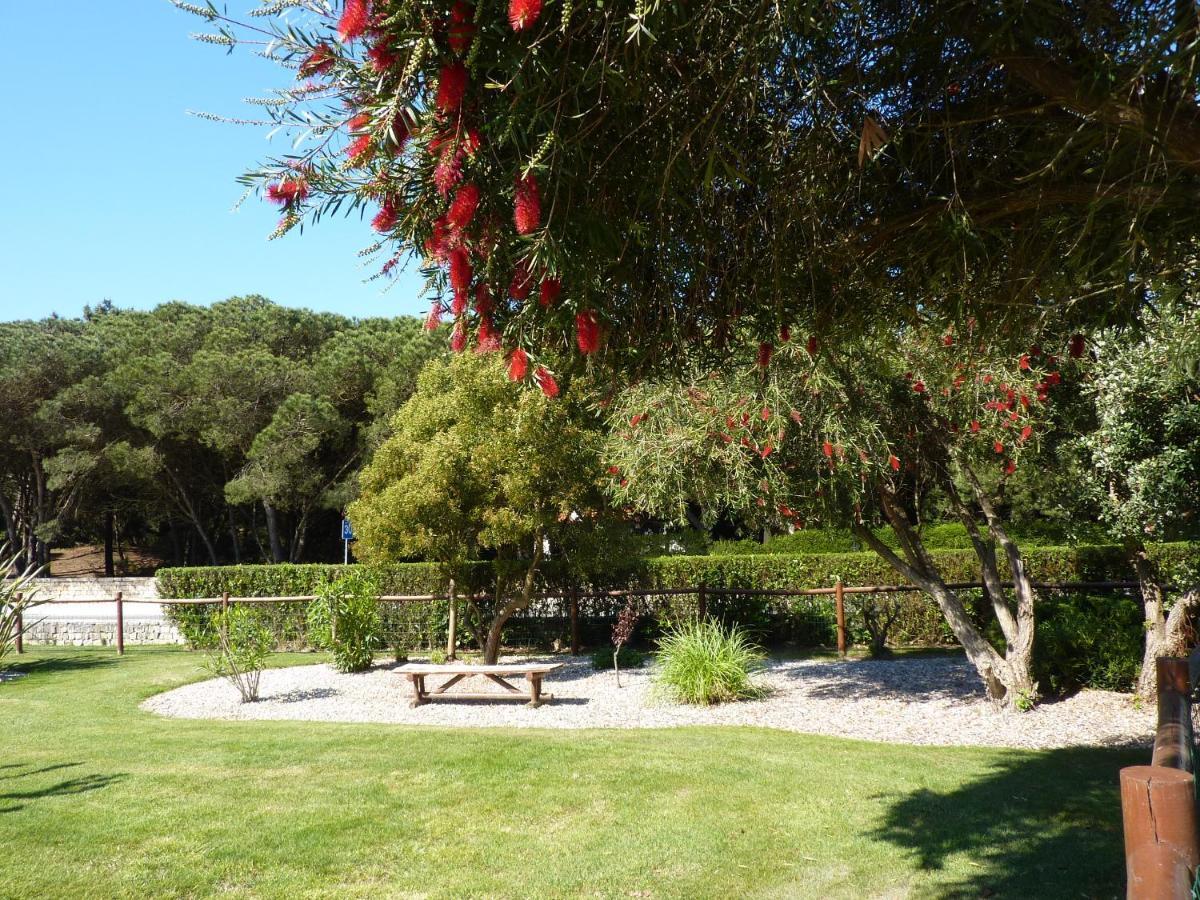 Apartamento Moura - Praia D'El Rey Golf, Surf & Beach Resort Praia del Rei Eksteriør billede